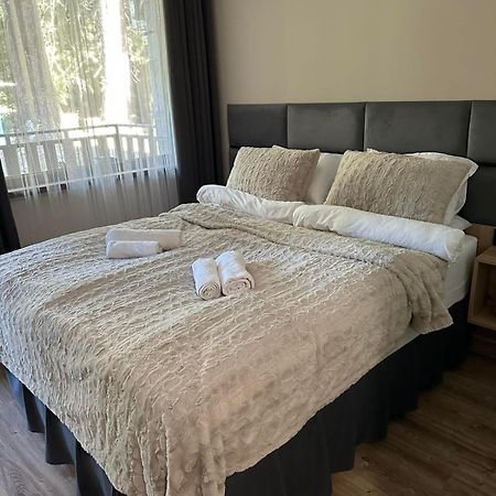 בורובץ Cozy Riverside Pine Studio E5 מראה חיצוני תמונה