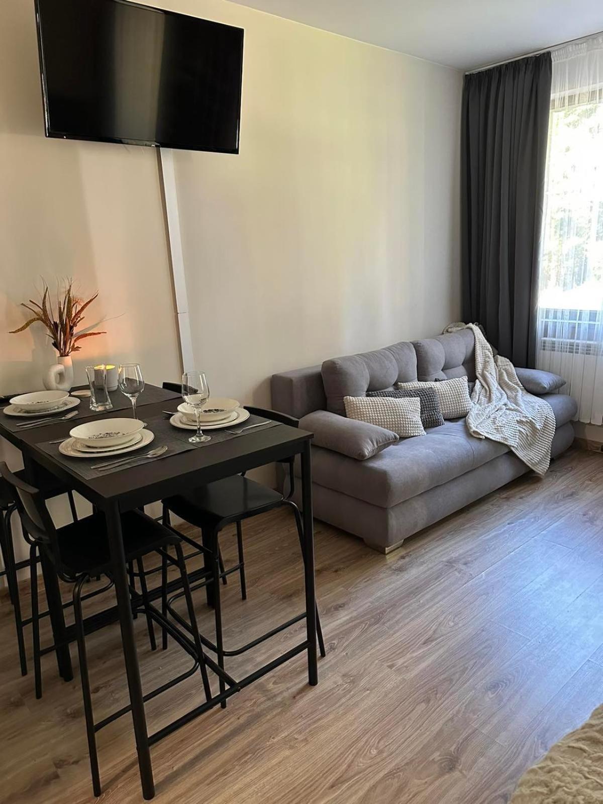 בורובץ Cozy Riverside Pine Studio E5 מראה חיצוני תמונה