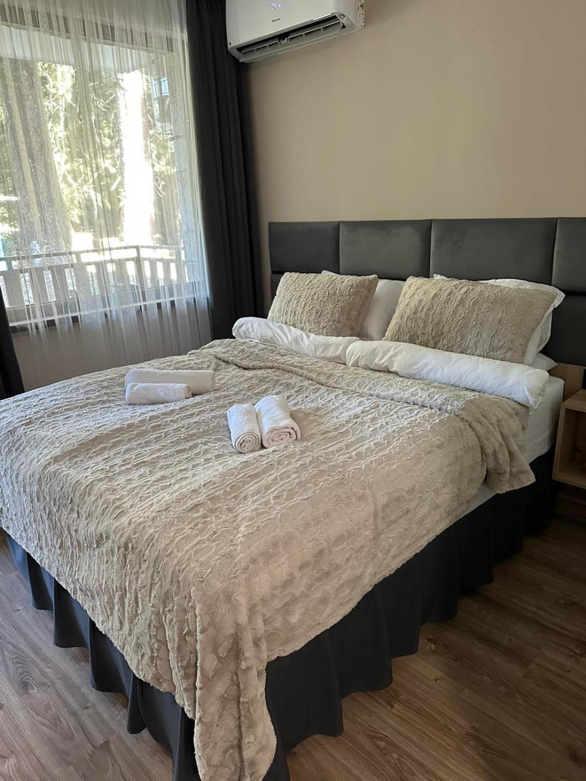 בורובץ Cozy Riverside Pine Studio E5 מראה חיצוני תמונה
